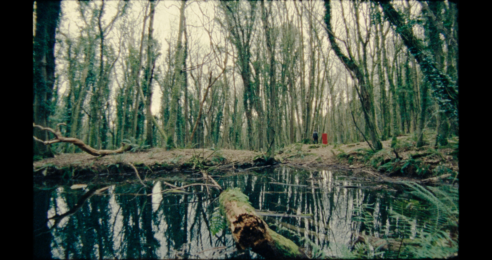 In My Fold, music video for Gypsy Moth Control. Colour grade by Anibal Castaño, Grade by Humans (still 2)