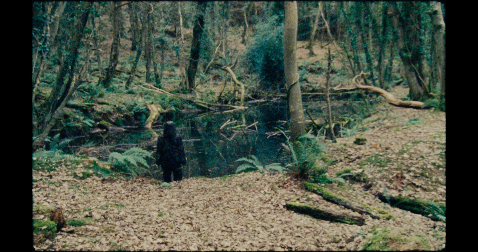 In My Fold, music video for Gypsy Moth Control. Colour grade by Anibal Castaño, Grade by Humans (still 6)