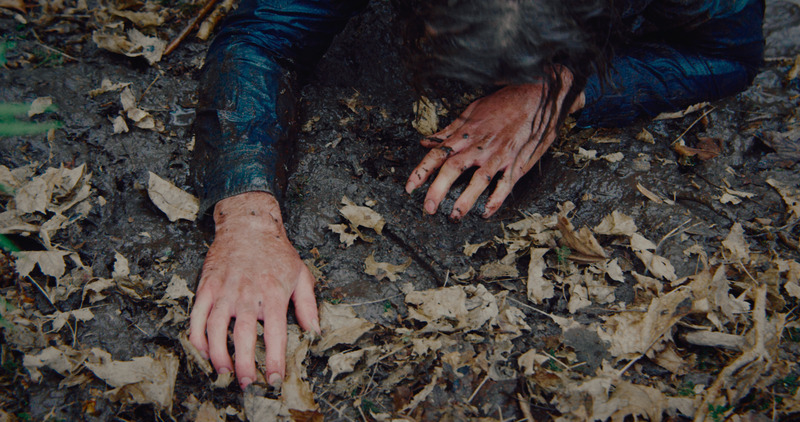 In My Fold, colour grade by Grade by Humans