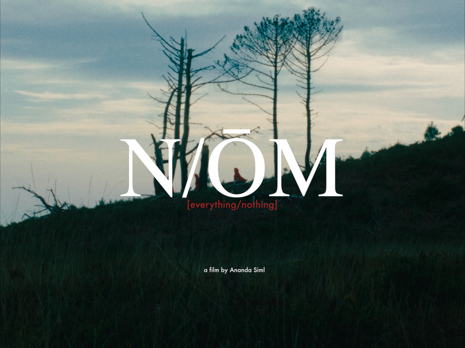 NÔM, short film directed by voidform. Colour grade by Anibal Castaño, Grade by Humans (still 5)