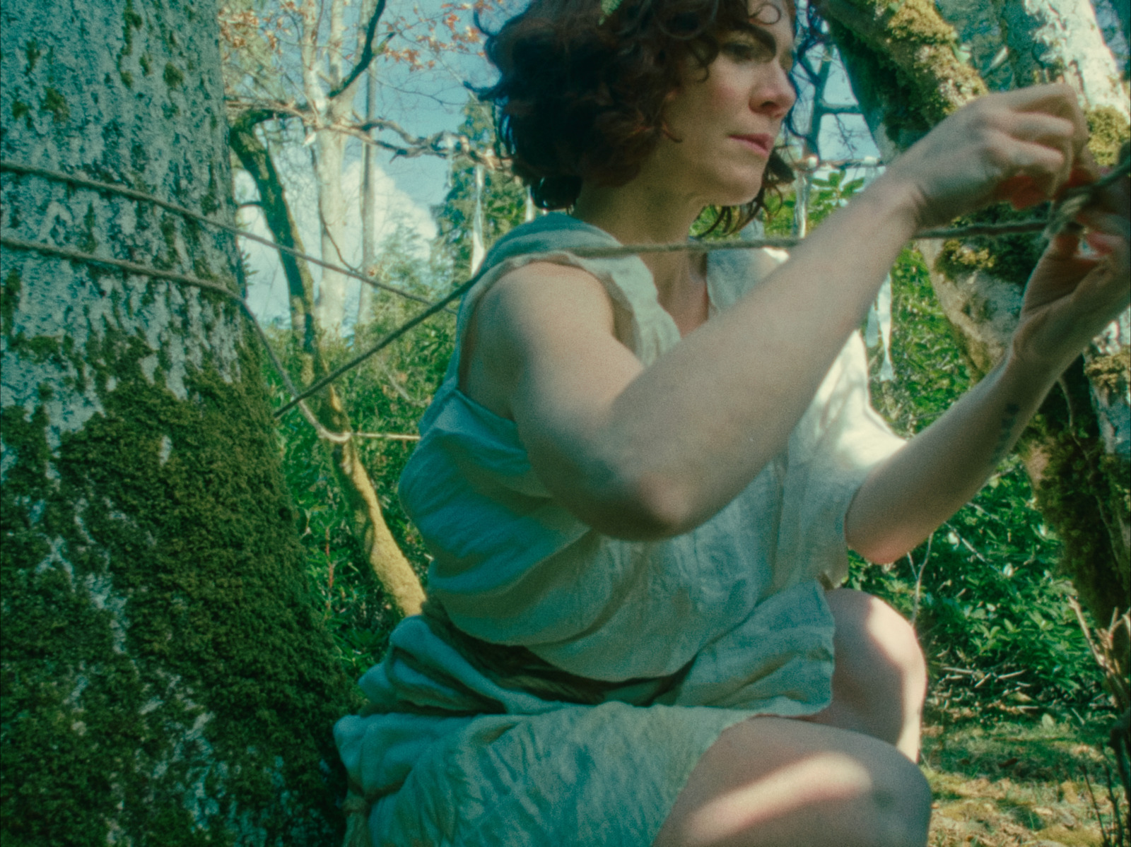 NÔM, short film directed by voidform. Colour grade by Anibal Castaño, Grade by Humans (still 6)