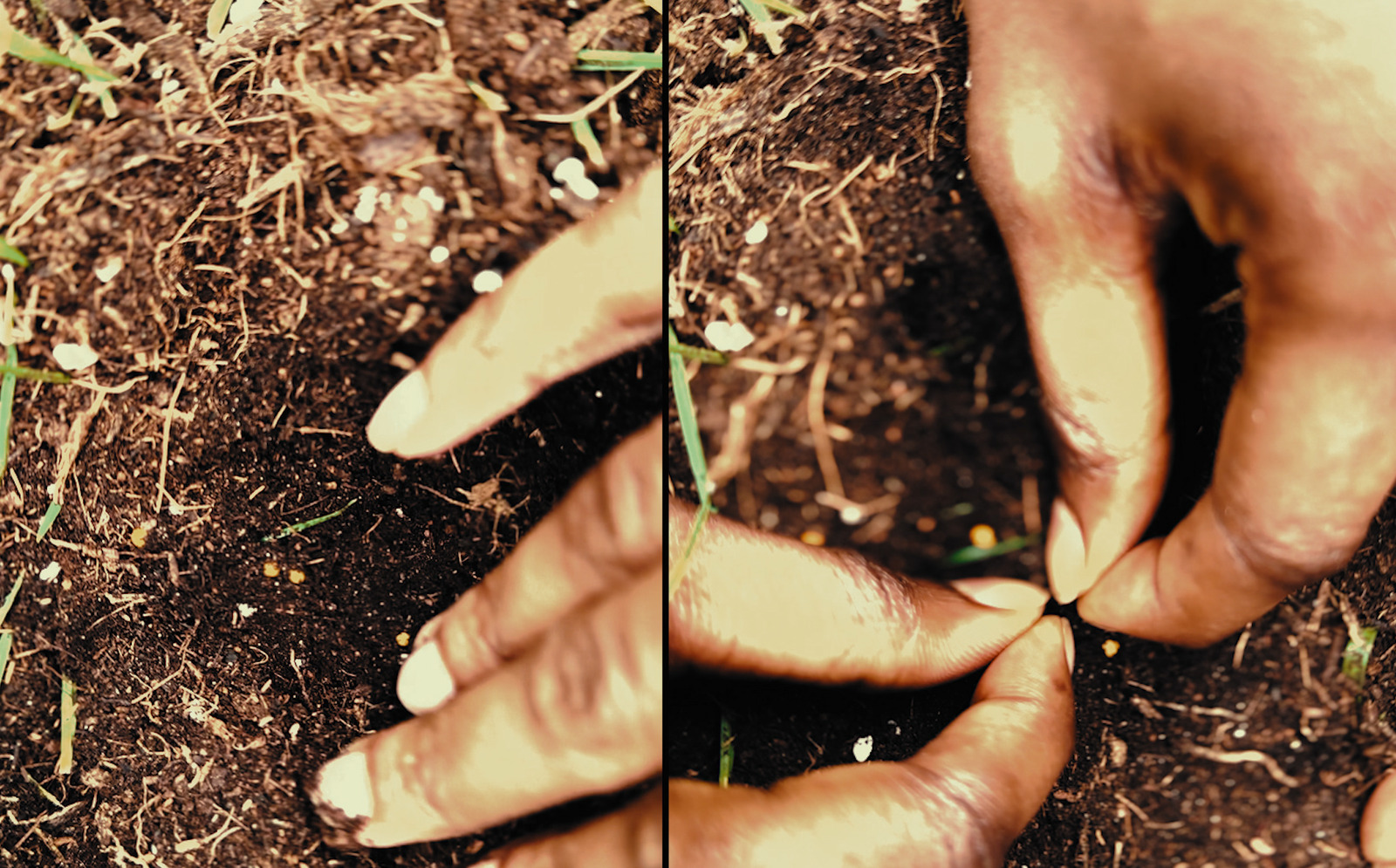 Reframe: The Residency, exhibition for Southbank Centre. Colour grade by Anibal Castaño, Grade by Humans (still 6)