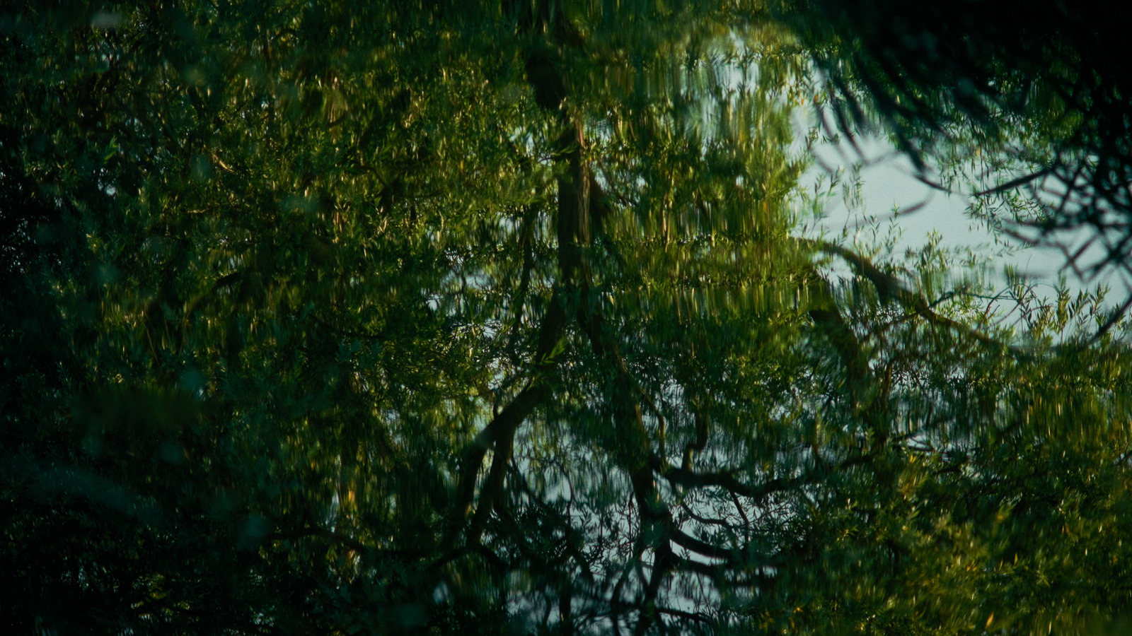 The Eel's Tale, artist film directed by Sam Williams for Film London / FLAMIN. Colour grade by Anibal Castaño, Grade by Humans (still 7)
