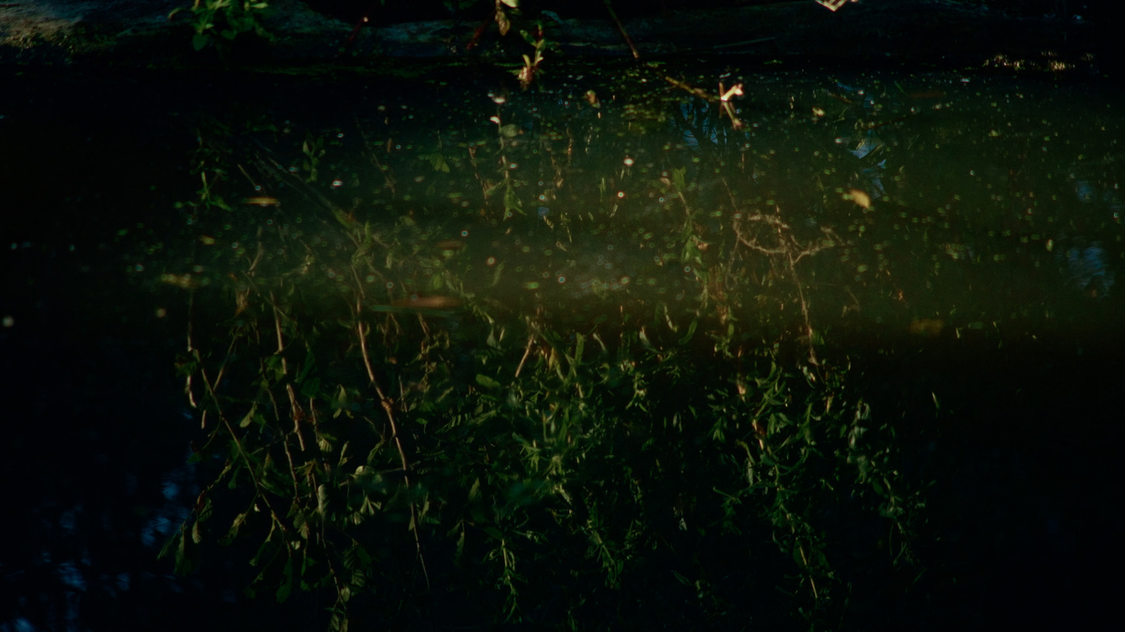 The Eel's Tale, artist film directed by Sam Williams for Film London / FLAMIN. Colour grade by Anibal Castaño, Grade by Humans (still 8)