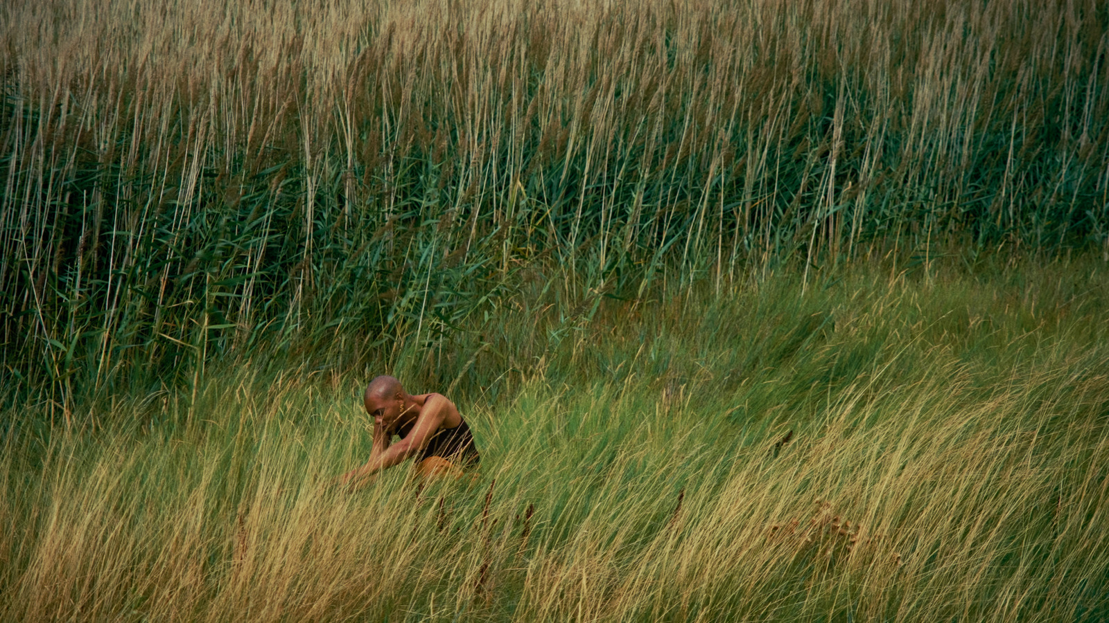 The Eel's Tale, artist film directed by Sam Williams for Film London / FLAMIN. Colour grade by Anibal Castaño, Grade by Humans (still 11)