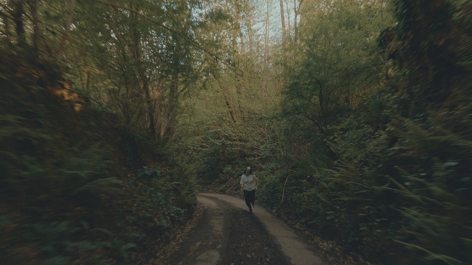 Wild Ride, music video directed by Jules for Lleo. Colour grade by Anibal Castaño, Grade by Humans (still 4)