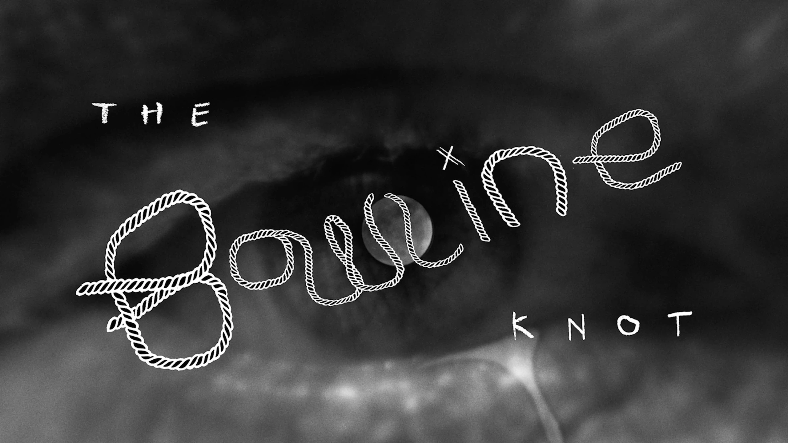 The Bowline Knot — Patrick Wolf, music video directed by Joseph Wilson. Cinematography by Anibal Castaño, still 5
