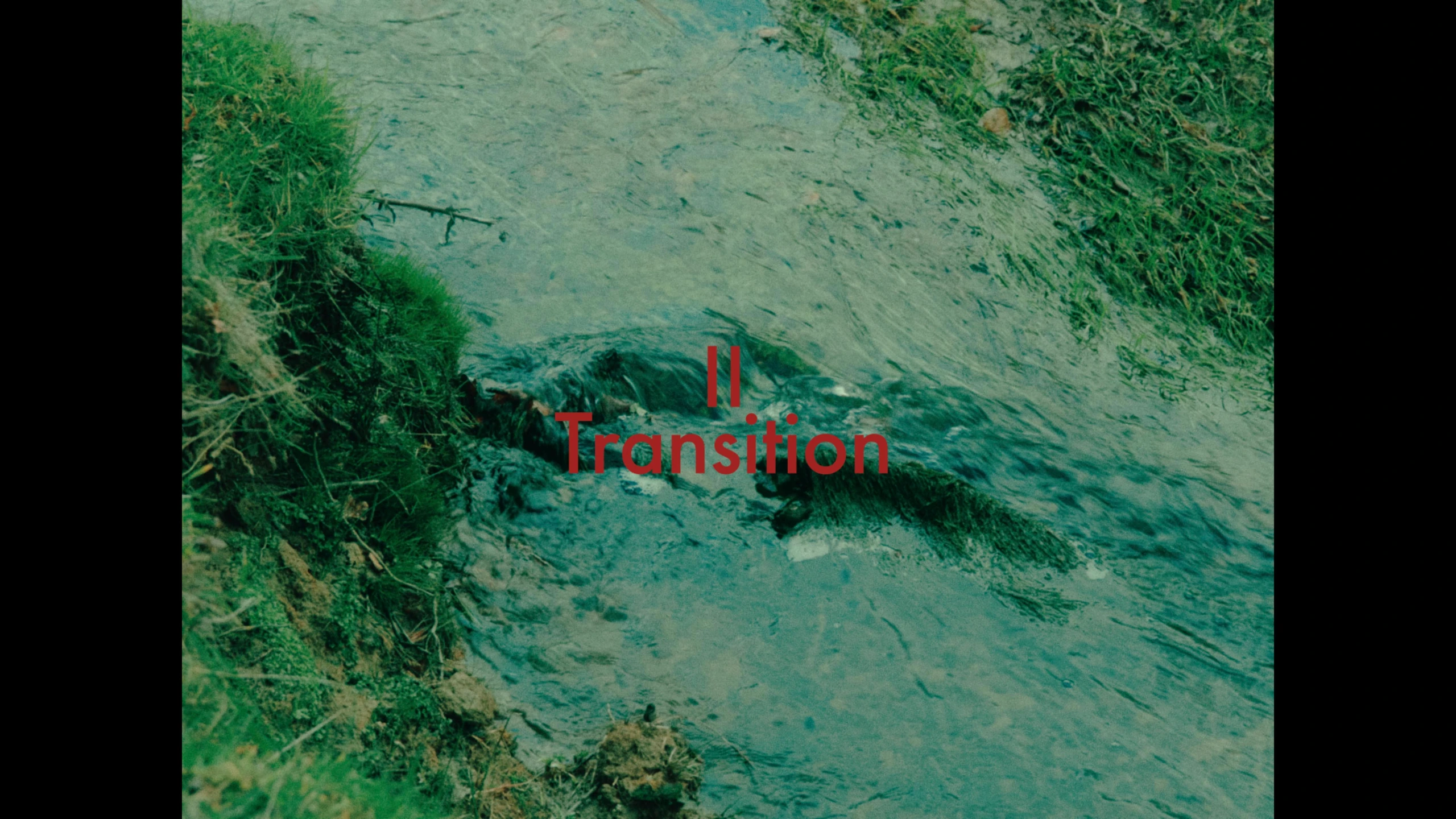 NOM, short film directed by Ananda Siml. Cinematography by Anibal Castaño, still 15