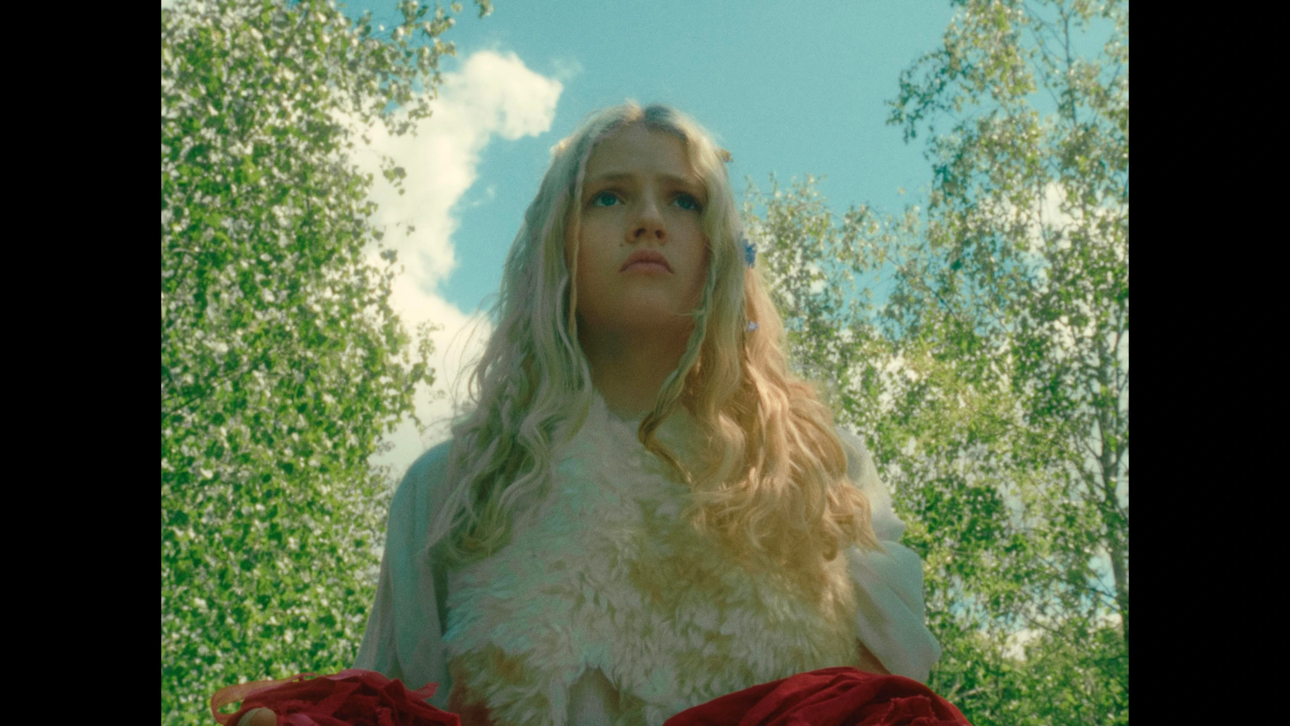 NOM, short film directed by Ananda Siml. Cinematography by Anibal Castaño, still 6