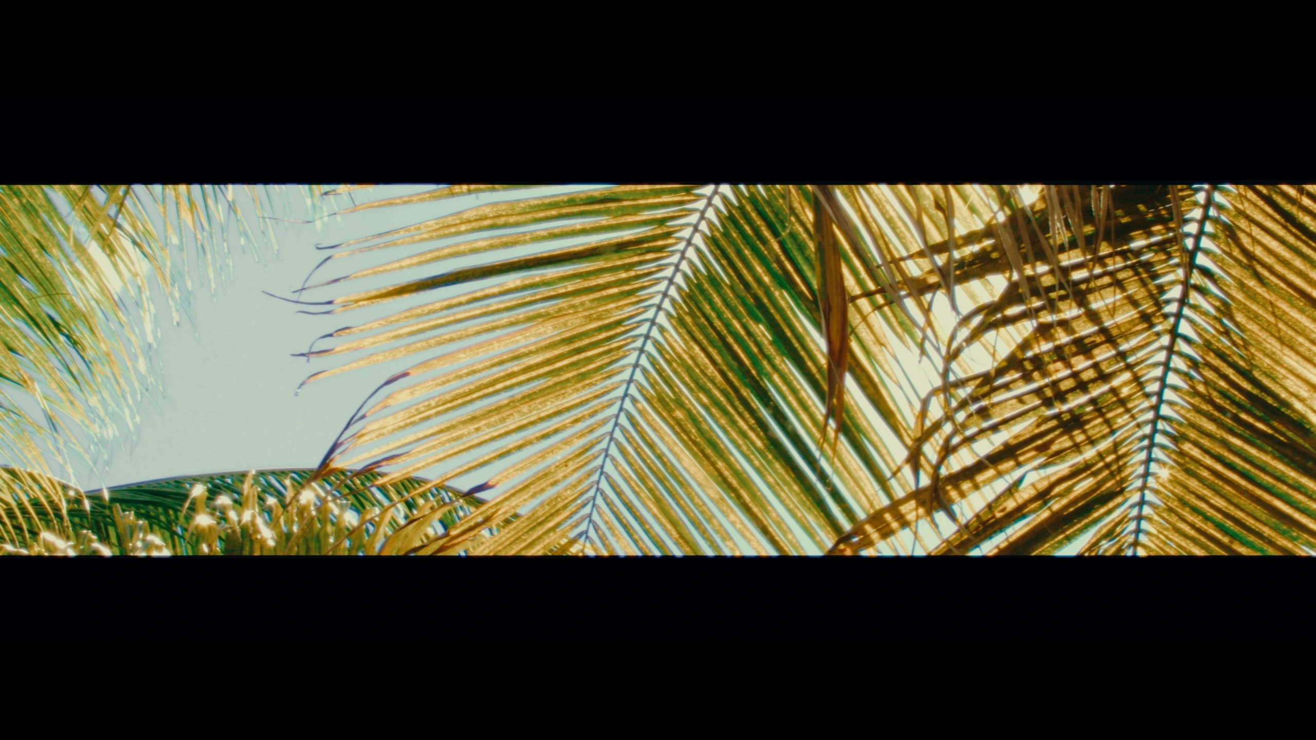 To Peel A Tangerine, short film directed by Valeria Martínez. Cinematography by Anibal Castaño, still 2